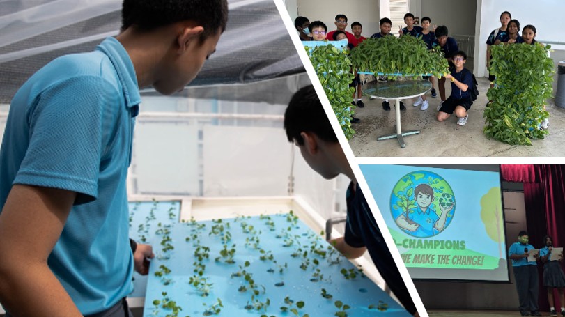 Eco Champions in Action